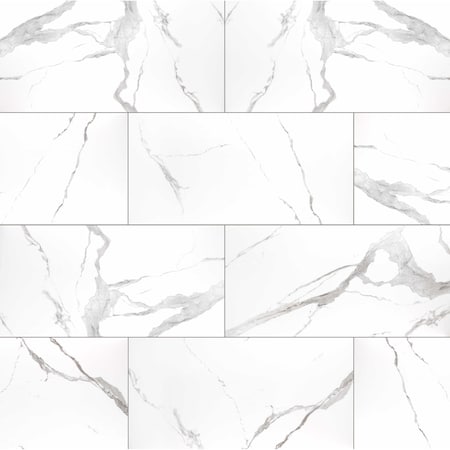 Msi Eden Statuary 12 In. X 24 In. Polished Porcelain Floor And Wall Tile, 8PK ZOR-PT-0304